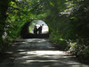 SmugMug > all-time keyword > tunnel > Rayko DP1 Week 3: Aesthetics Practice photo